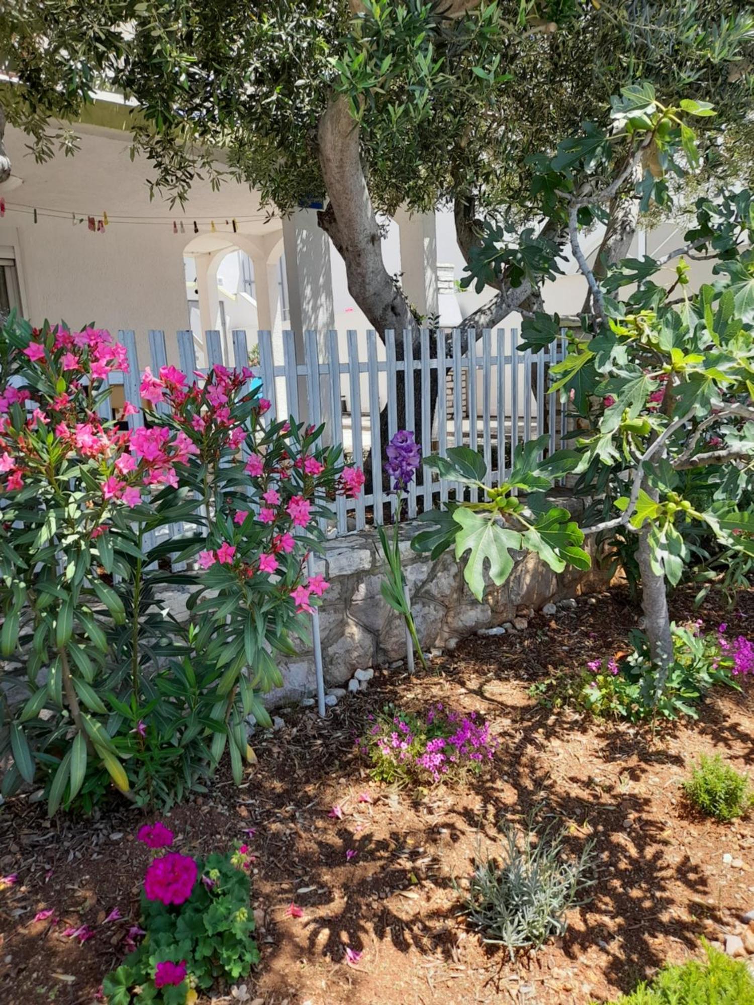 קרלובג Apartment Milka By The Sea מראה חיצוני תמונה